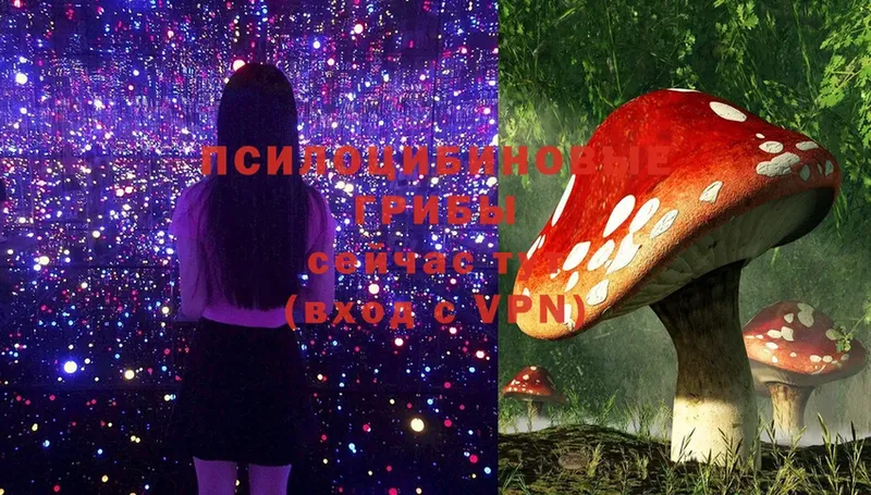 Галлюциногенные грибы Magic Shrooms Гуково